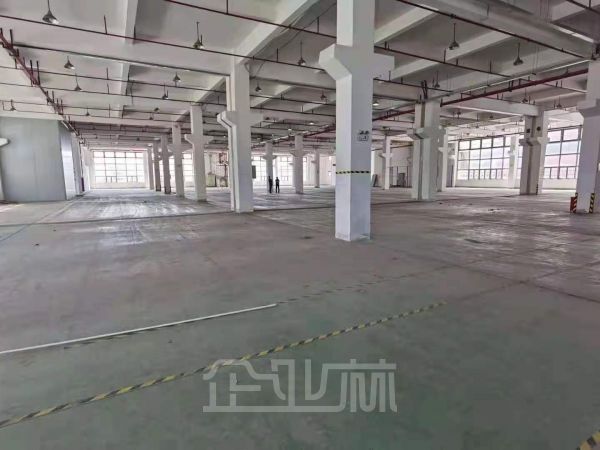 出租 松江新飞路1500~6460平标准厂房 层高7米 可架行车 【104版块】标杆园区,底层面积大可分割