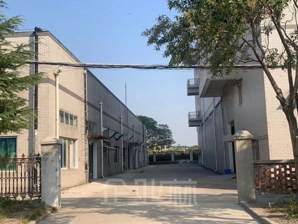 出租泗泾单层厂房