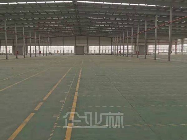 松江新浜工业区11000平-22000平一层独栋独门独院厂房出租