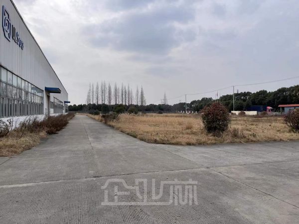 上海市松江区新浜单层厂房出租
