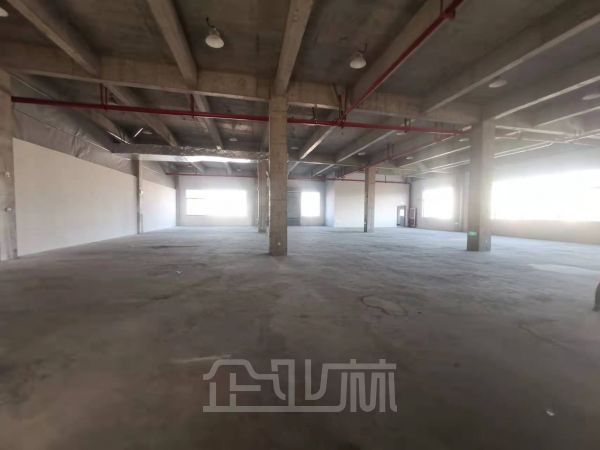 1300平丙二厂房 政府厂房价格低开税票 可用楼上的企业看过
