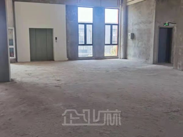 闵行颛桥厂房出租