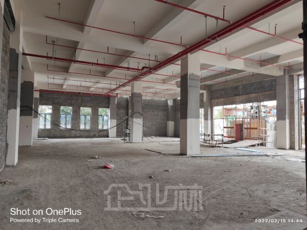 上海松江新桥2300平标准厂房出租 104地块 可分租