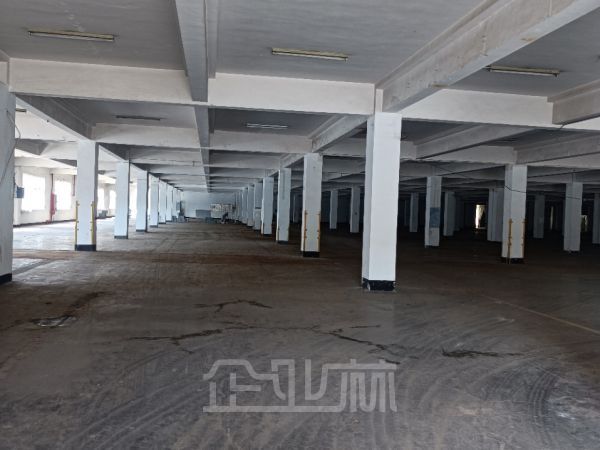 嘉定江桥2000平厂房 仓库 办公 展厅出租