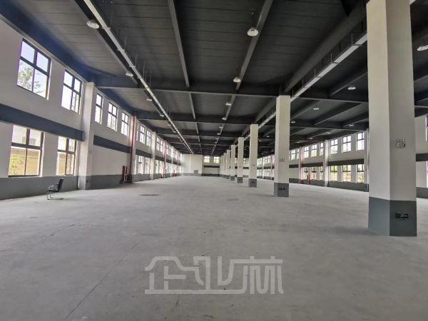 奉贤南桥3100平标准厂房仓库出租