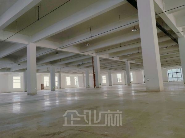 苏州相城3000平标准厂房出租