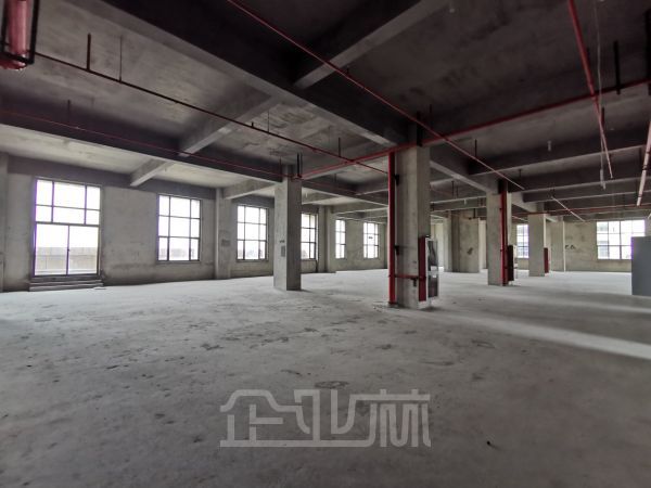 出租浦东南汇工业区2079平厂房