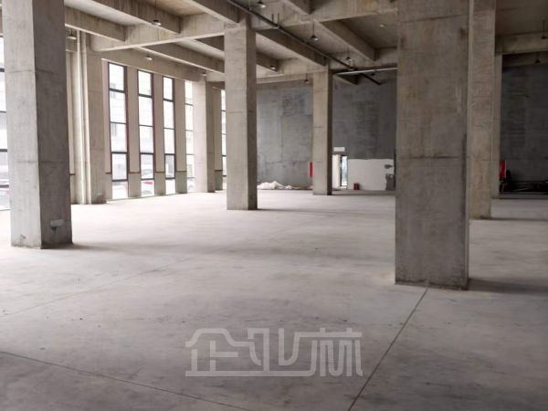 出租松江九亭4400平独栋厂房